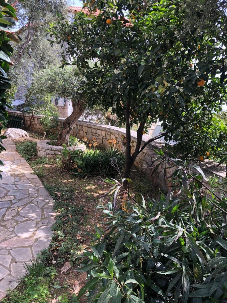 Neokhorion  Villa Amanda מראה חיצוני תמונה
